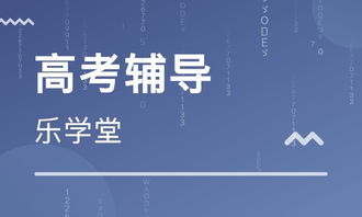 天津樂學(xué)堂教育 大眾網(wǎng)推薦品牌的專業(yè)教育信息咨詢之路